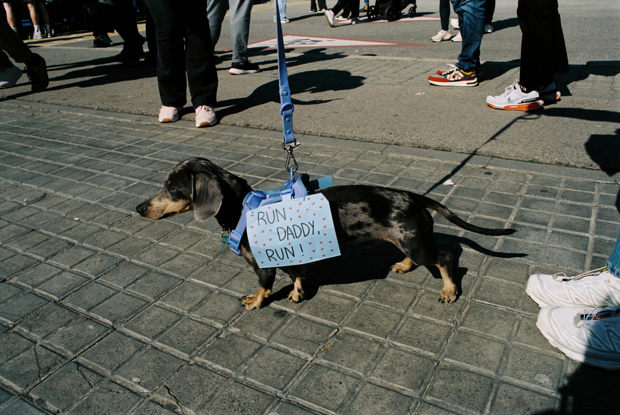 Película Film Bits 250D por dubblelab